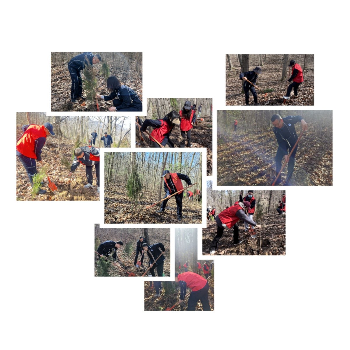 1710211027147684xWBq.jpg 植樹活動(dòng)現(xiàn)場(chǎng).jpg