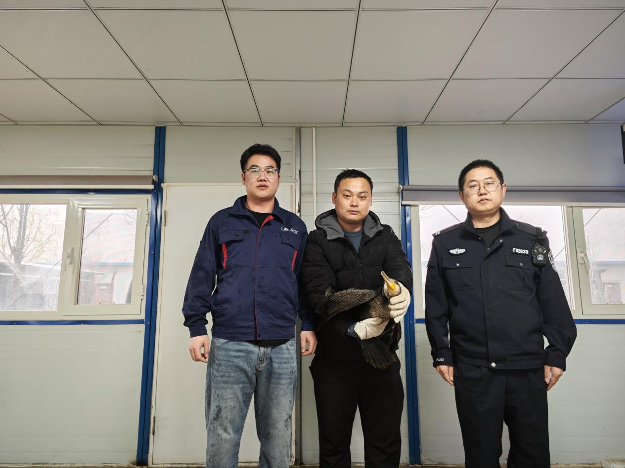 17124553693457718Odm.png 動(dòng)物救助移交現(xiàn)場(chǎng)照片 (1).png